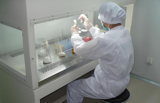 Laminar Flow Biological Safety Cabinet For Mushroom Cultivation